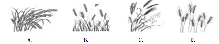 1740994625253369.png 2.png